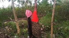 Village priyanka aunty outdoor  blowjob