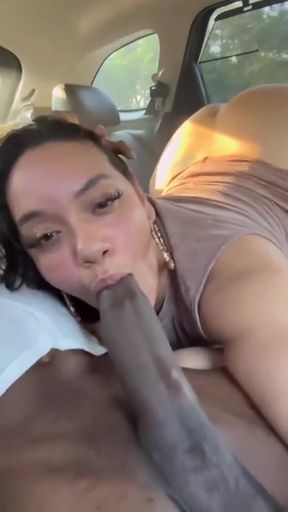 Used public car gets a thick cock blowjob hands-free