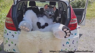 Fluffy car with fun