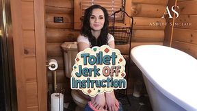 Toilet Jerk Off Instructions 4K mp4