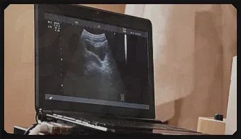 Intimate Prostate Exam by Handsome Doctor