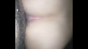 Perra