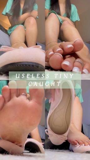 TINY SNEAKS INTO ROOM