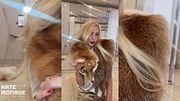 PELZ TRY-ON 🧥 #fur #foxfur #furcoat | Fuchs, Marder, Nerz & Lamm by Kate Monroe