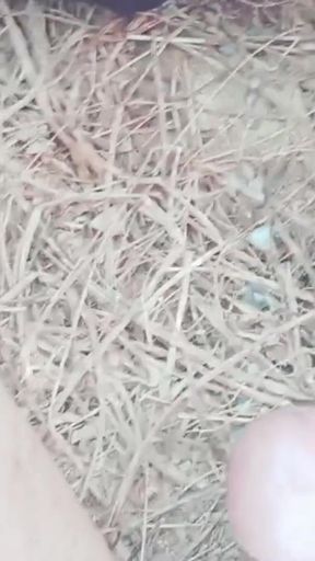 Captivating moment from &quot;Hand shots&quot;