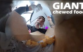 The Giant Allows the Tiny Human to Observe It Very Closely While It Eats