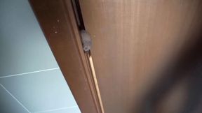 Femdom crazy chick punishing his cock on the door