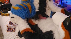 Fat mutt trains the lil' kitten how to sit #node #knotfucking