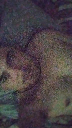 I'm sending this to my wife on Telegram.