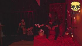 dominating and biting danyel mast first bdsm session no 1