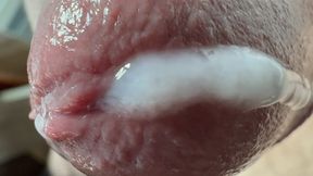 Close-up of Sperm