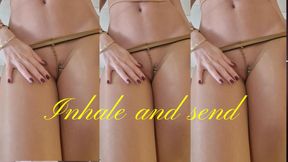 Stare, sniff, worship and serve! Easy, even for you!