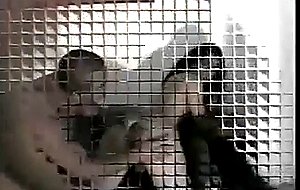 Stud bonking brunette slut