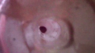 Fleshlight cumlube sloppy seconds