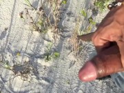 Beach Nut Stroking In The Sun