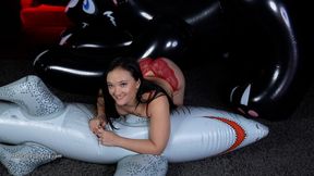 Roxy Deflates 6 foot Inflatable Shark 4K (3840x2160)