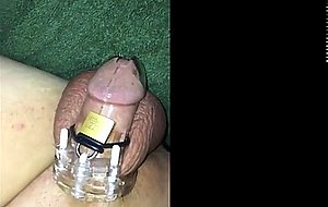 Hotgirl confession caged cuckold humiliation