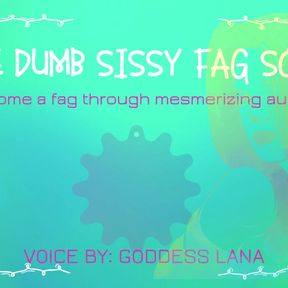 AUDIO ONLY - The dumb sissy fag song