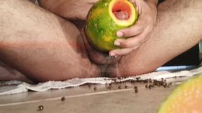 New Video of Fucking Fruit. Papaya's Turn