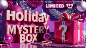 Holiday Mystery Box FIVE: $70 Value