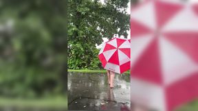 Wild Moments on a Rainy Saturday Afternoon