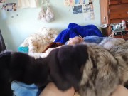 Me & My Furs