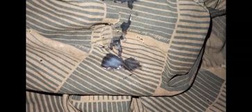 African Black Guy Fucks His Bed