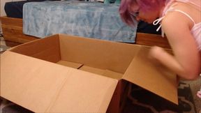 Naughty Neko Girl Plays in Box