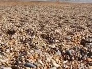 BEACH CANDID - Beautiful THICK BOOTY Latina in a Micro BIKINI