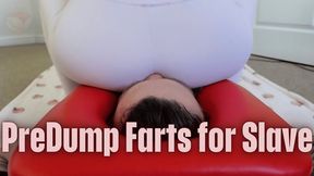 PreDump Farts for Slave (CUSTOM)