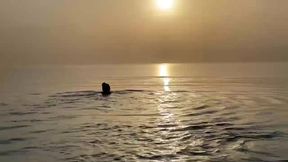 Monika Fox Esthetic Posing in the Sea