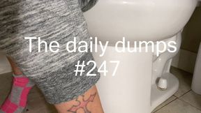 The daily dumps #247 mp4
