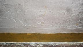 Busty Boobs Horny girlfriend in Law Fuck