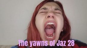 The yawns of Jaz 28