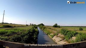 polysweet - update #6 - 016 - mar 10, 2023