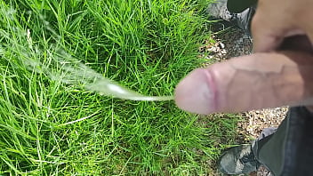 Pipi en &eacute_rection