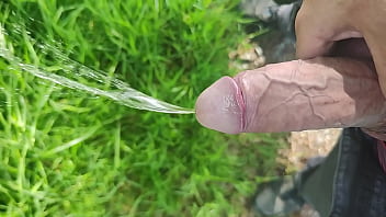 Pipi en &eacute_rection