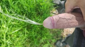 Pipi en &eacute_rection