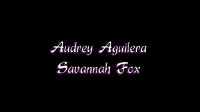 savannah fox and audrey aguilera trade lesbian fingering