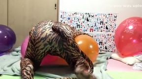 cat humping on balloon