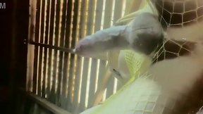 Sultry cum free hands and prostata orgasms