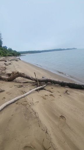 Short Walk Along the Beach.