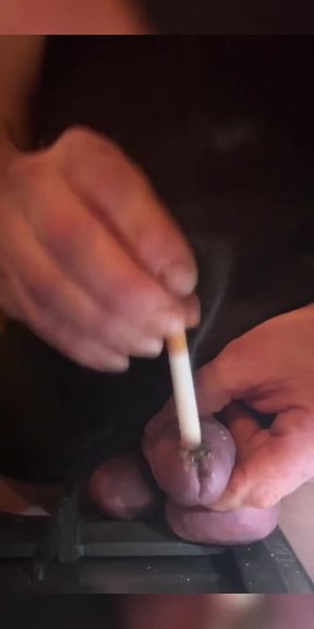 Cockhead with Cigarettes Dare