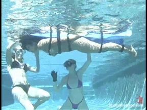 Dragonlily and audrey leigh