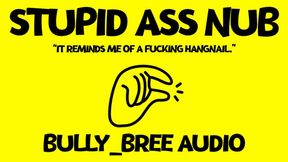 Stupid Ass Nub Audio