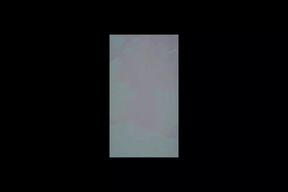 stanl3 video