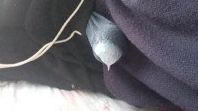 STRONG MOANS OF ORGASM