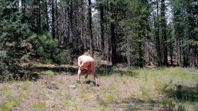 simscristian05 - update #695 - naked walking in the forest - sheer - jul 12, 2026
