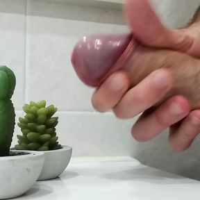 Handjob double cumshot on two wax cacta. Big loads, jeriking off with masturbation.