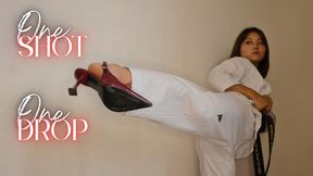 One shot One drop (Groin kicks course | No yells)